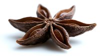 Star anise pod on white background showing detailed texture and natural brown color, aromatic spice used in cooking and traditional medicine, macro photography.