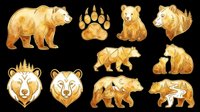 Golden bear collection with full body and head portraits, paw prints, and various poses isolated on transparent background, ready for t-shirt design, clipart, stickers, sublimation and print-on-demand projects.