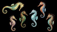 Six colorful illustrated seahorses isolated on transparent background, ready for stickers, t-shirt design, print on demand, sublimation, and clipart projects.