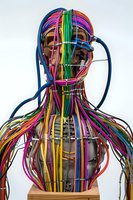 Artistic sculpture of human torso and head wrapped in colorful network cables and wires creating modern technological interpretation of human anatomy on white background.