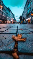 Fallen autumn leaf on wet cobblestone street at dusk, with blurred city lights and buildings creating moody urban atmosphere. Low angle perspective captures seasonal mood.