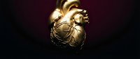 Golden anatomical heart with metallic finish glowing against dark background for medical education and healthcare design projects.