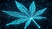 Glowing blue cannabis leaf with digital wireframe network background. Futuristic marijuana symbol with neon light effects and geometric connections.