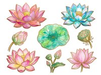Watercolor lotus flowers and lily pads in pink, turquoise, and green tones, isolated on white background. Perfect for botanical designs, textiles, and decorative projects.