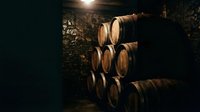 Wooden barrels stacked in dark cellar with warm lighting, used for wine, whiskey, or beer aging and storage in underground winery or distillery.