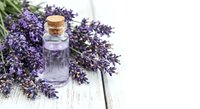 Lavender essential oil bottle with cork stopper surrounded by fresh purple lavender flowers on rustic white wooden background for aromatherapy and wellness.