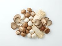 Assorted fresh mushrooms including brown, white button, and enoki varieties arranged on white background for culinary and food styling use.