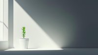 Small green plant in white pot on empty windowsill with dramatic diagonal sunlight and shadow creating minimalist composition against gray wall.