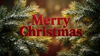 Merry Christmas greeting card with red festive text surrounded by snow-dusted pine branches on a warm golden bokeh background.