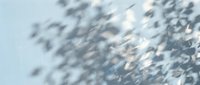 Abstract blue and white blurred motion background with soft bokeh light effects creating dreamy atmospheric texture for modern design projects.