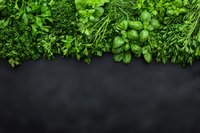 Fresh green herbs and leafy aromatics arranged in border composition on dark background with copy space for menu or recipe design.