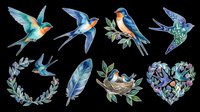 Colorful flying birds and feathers isolated on transparent background, ready for t-shirt design, clipart, stickers, sublimation and print-on-demand projects.