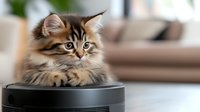 Adorable long-haired tabby kitten with fluffy fur sitting on robotic vacuum cleaner, looking at camera with bright green eyes against blurred home interior.