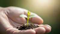 Hands gently protecting young green plant seedling growing from soil, symbolizing growth, care, environmental protection and new life beginnings.