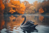 Swan gliding on calm autumn lake with golden foliage reflected in water, wildlife nature scene.