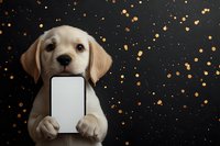 Adorable Labrador puppy holding blank smartphone screen against dark background with golden bokeh lights, perfect for mobile app or tech advertising.