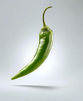 Fresh green chili pepper floating on light gray background with soft shadow. Isolated food photography for culinary and menu design projects.