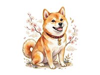 Smiling Shiba Inu dog with red-orange coat wearing collar, surrounded by delicate pink cherry blossoms and botanical elements on white background, isolated clipart for design projects.