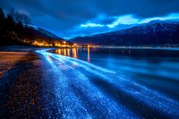 Dramatic night landscape with glowing blue bioluminescent waves washing onto shore, mountain silhouettes and city lights reflecting in calm water at twilight.
