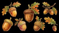 Acorns with oak leaves isolated on transparent background, ready for t-shirt design, clipart, stickers, sublimation, and print-on-demand projects.