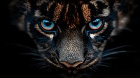 Close-up portrait of majestic big cat with striking blue eyes and detailed fur texture against dark background for wildlife photography concepts.