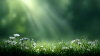 White daisies growing in lush green grass with magical sunbeams streaming through misty forest background creating dreamy natural atmosphere.