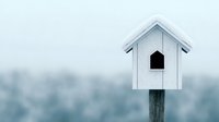 White wooden birdhouse mounted on pole against soft blue bokeh background, minimalist nature composition creating peaceful outdoor atmosphere.
