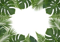 Tropical leaves frame with monstera and palm fronds creating natural border on white background for summer designs and botanical projects.