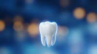 White tooth model on blue bokeh background for dental care and oral health concepts in medical presentations.