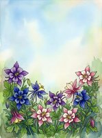 Watercolor columbine flowers in purple, blue and pink bloom against a soft sky background with copy space for greeting cards.