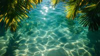 Tropical crystal clear turquoise water with sunlight reflections and palm leaves frame, natural summer background for travel and vacation designs.