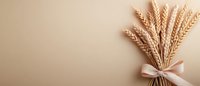 Golden wheat ears tied with beige ribbon on neutral background. Minimalist agricultural concept with copy space for harvest season design.