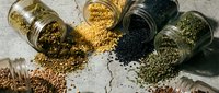 Assorted legumes and grains spilling from glass jars on textured surface for healthy cooking and nutrition concepts.