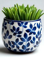 Fresh green succulent leaves in white ceramic pot with blue floral pattern, decorative indoor plant arrangement against light background.