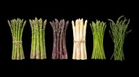 Six asparagus bunches in green, purple, and white varieties, isolated on transparent background. Ready for food clipart, stickers, t-shirt design, and print on demand use.
