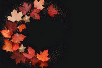 Vibrant autumn maple leaves arranged in curved composition with golden glitter on black background, creating seasonal decorative frame with copy space.