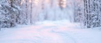 Snowy winter forest path with frost-covered trees and warm bokeh lights creating magical atmosphere for holiday seasonal backgrounds and nature photography.