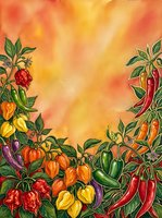 Watercolor illustration of vibrant peppers and chili plants with warm golden and orange gradient background, ideal for culinary designs and food-related projects.