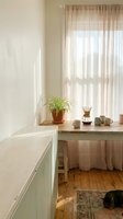 Bright minimalist workspace with potted spider plant, ceramic mugs, and sheer curtains filtering natural light through window, wooden desk and hardwood flooring.
