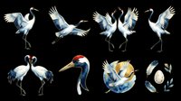 Watercolor crane birds collection featuring flying and standing poses, elegant long-legged herons with blue and white plumage, isolated on transparent background ready for t-shirt design, clipart, stickers, and print-on-demand projects.