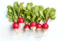 Fresh red radishes with green leaves arranged in row on white background, perfect for healthy eating, food blogs and agricultural marketing materials.