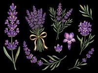 Lavender flowers isolated on transparent background, ready for t-shirt design, clipart, stickers, sublimation and print-on-demand products.
