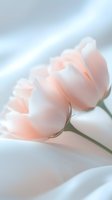 Delicate peach tulips with soft petals against ethereal light background, creating dreamy atmosphere for wedding invitations or spring celebrations.