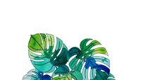 Tropical monstera leaves in vibrant green and blue watercolor style isolated on white background for modern botanical design and decoration projects.