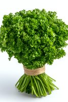 Fresh parsley bunch tied with natural twine on white background, vibrant green culinary herb isolated for food photography and cooking designs.