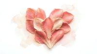 Delicate pink rose petals arranged in heart shape on soft watercolor background for romantic wedding invitations and love-themed designs.