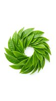 Fresh green leaves arranged in a circular spiral pattern with water droplets, isolated on white background. Suitable for organic, natural, and eco-friendly design projects.