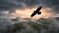 Majestic eagle soaring above misty mountain landscape at dramatic sunset with storm clouds and golden light breaking through atmospheric valley scenery.