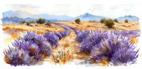 Watercolor lavender field landscape with purple flowers, winding path through golden meadow and distant mountains in soft blue hues against summer sky.