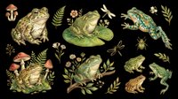 Isolated toad and frog clipart collection on transparent background. Vintage botanical amphibian illustrations with mushrooms, plants, and insects. Ready for t-shirt design, stickers, print-on-demand products, and sublimation crafts.